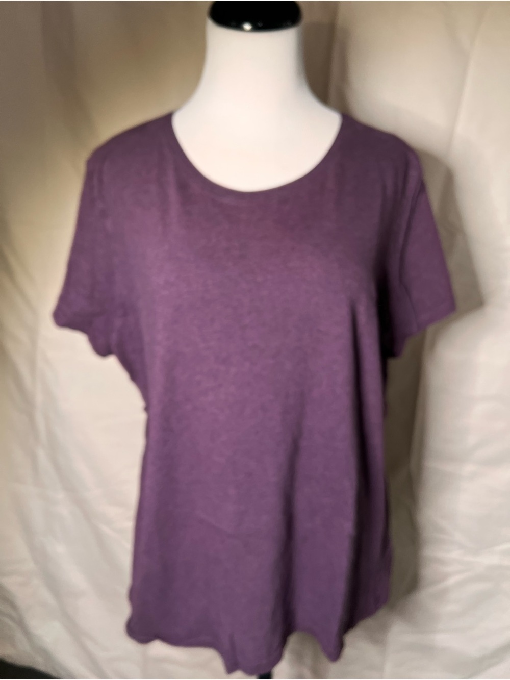 Pact organic cotton Classic Women's Crewneck Tee in Purple
